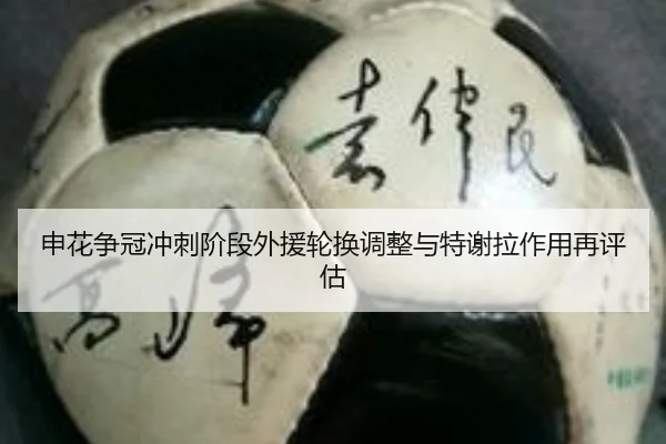 申花争冠冲刺阶段外援轮换调整与特谢拉作用再评估 | mksports